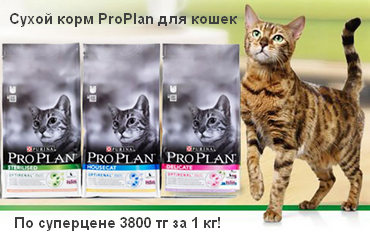 Proplan_koshki_suhoy.jpg